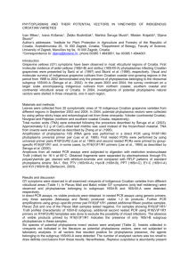 phytoplasmas and their potential vectors in vineyards of indigenous