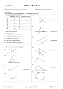 Topic 3 Angles - Curriculum Support