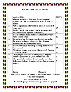 ENDANGERED-SPECIES-RUBRIC