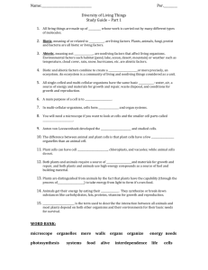 Diversity- Study Guide 1