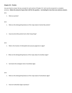 Chapter 20 – Protists Use your book to answer the key concepts for