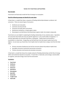 Section 13.4: Food Chains and Food Webs Key Concepts Food