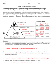 Energy through an Ecosystem Worksheet Answer Key