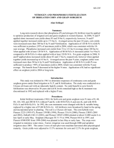 TILLAGE AND NITROGEN EFFECTS ON