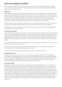 INFECTIOUS DISEASES OF RABBITS