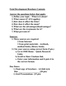 Fetal Development Brochure Contents