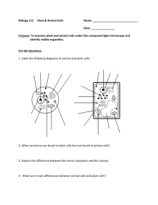 Animal and Plant Cell Lab