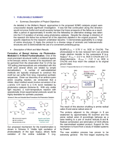 Periodic Report - SOMO