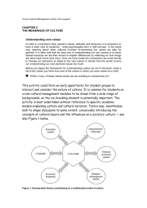 Cross-Cultural Management online Tutor support