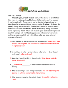 Cell Cycle and Mitosis Packet