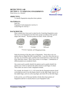 classifying fingerprints