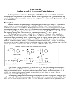 Experiment 16 Qualitative Analysis of Amines and Amine