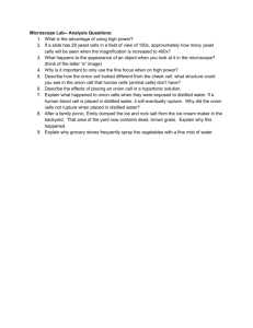 Microscope Lab Analysis Questions: 1. What is the advantage of