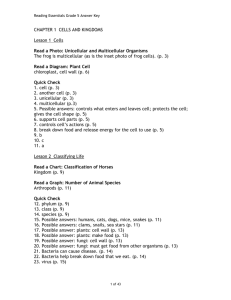 Reading Essentials Grade 5 Answer Key - Macmillan/McGraw-Hill