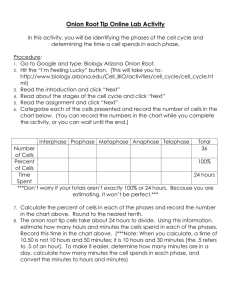 Onion Root Tip Online Lab Activity