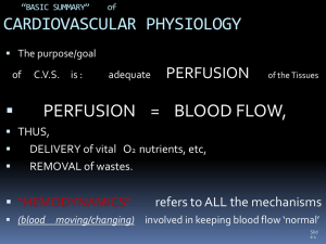 CH 20 B cardiac physiology