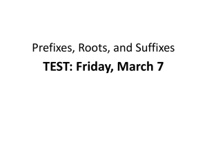 Prefixes, Roots, and Suffixes