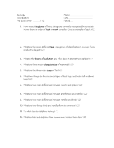 Zoology  Name_____________________ Introduction