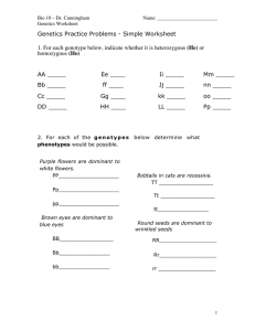 Genetics Practice Problems - Simple Worksheet (He) (Ho) AA _____