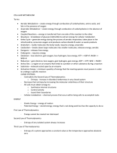 CELLULAR METABOLISM