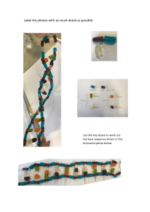 DNA sweets photo labelling task