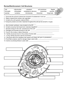 Parts of the Cell Review Fillable