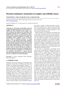 Decision-making T-Maze for C. elegans worms