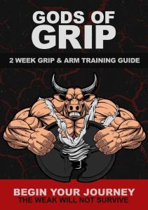 Gods-Of-Grip-Free-Guide-V2 2