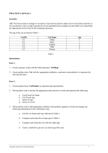 Practice Lab Week 4